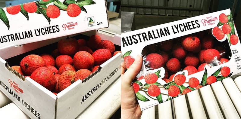 images/1654157264413lychee packing machine.jpg